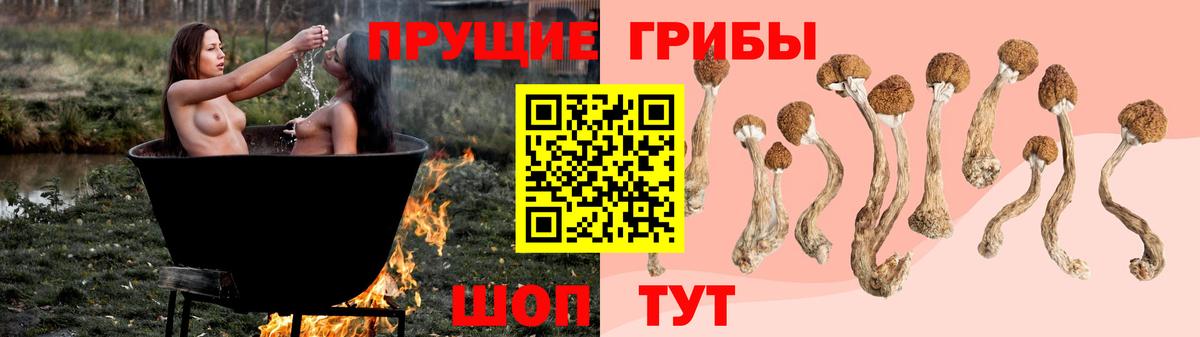 Галлюциногенные грибы мицелий  Галлюциногенные грибы GOLDEN TEACHER  Узловая  Вход с VPN 